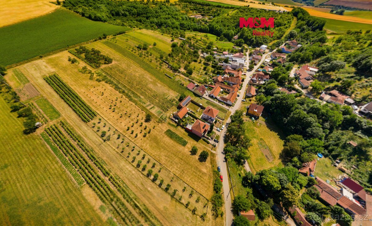 Prodej pozemku k bydlení, 7835 m², Borkovany
