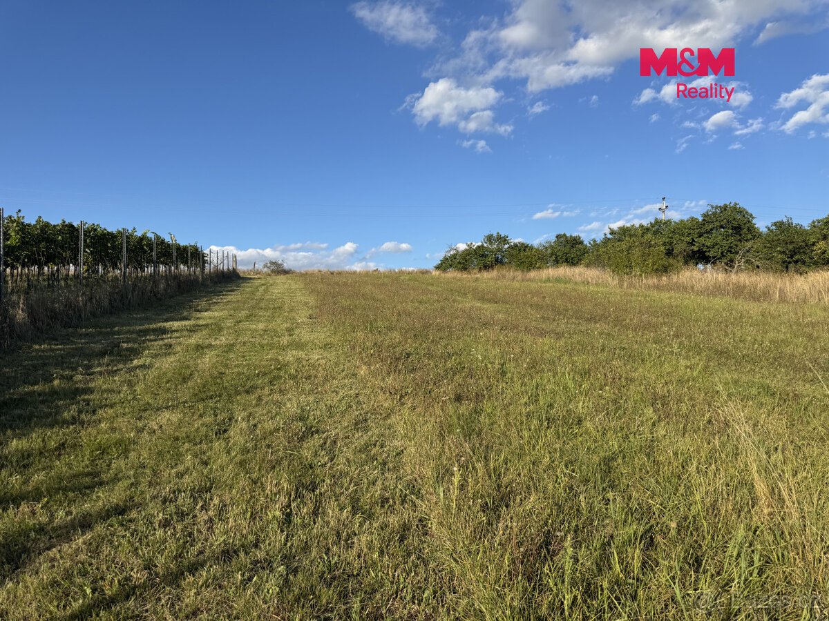 Prodej pozemku k bydlení, 7835 m², Borkovany