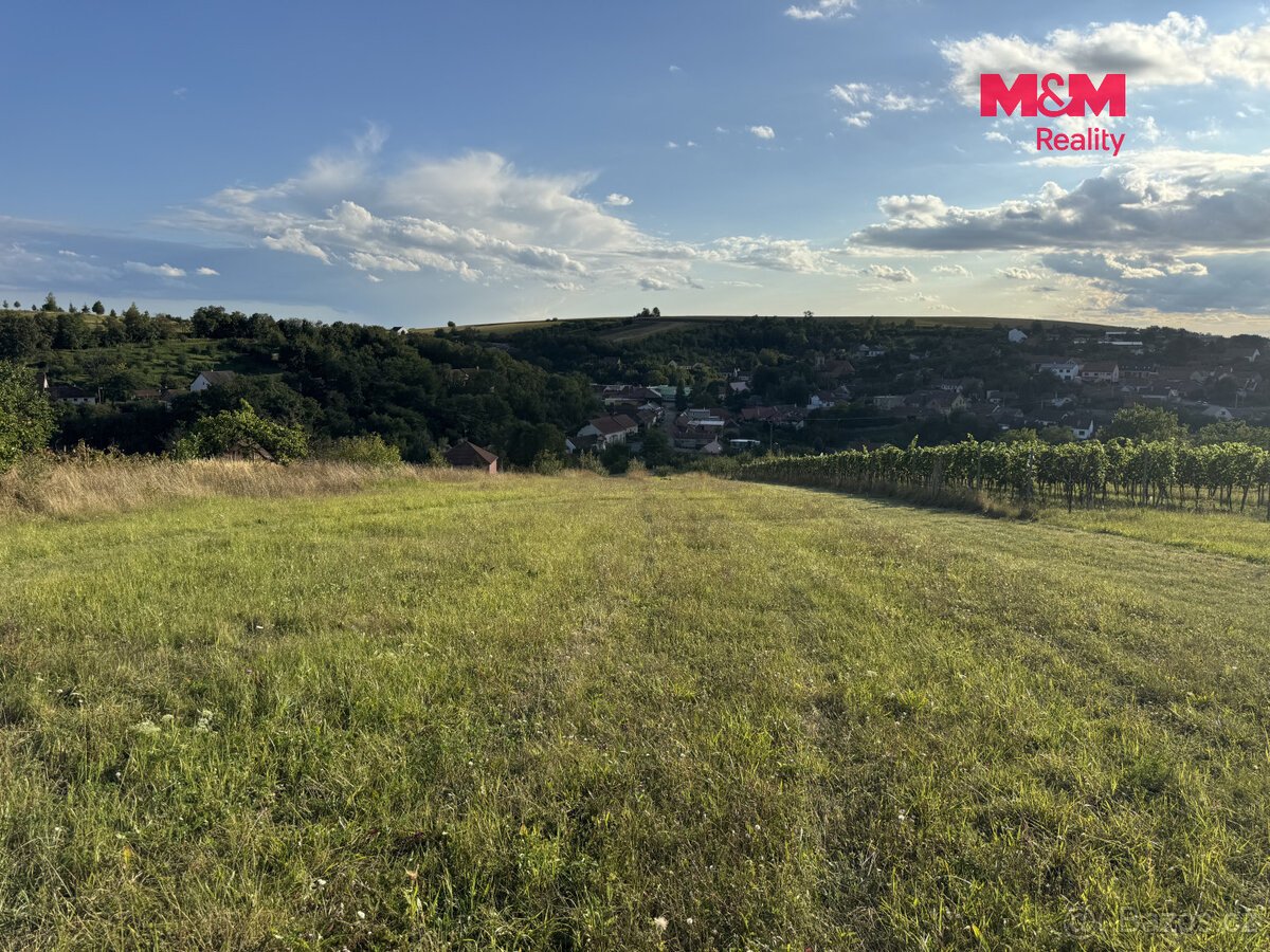 Prodej pozemku k bydlení, 7835 m², Borkovany