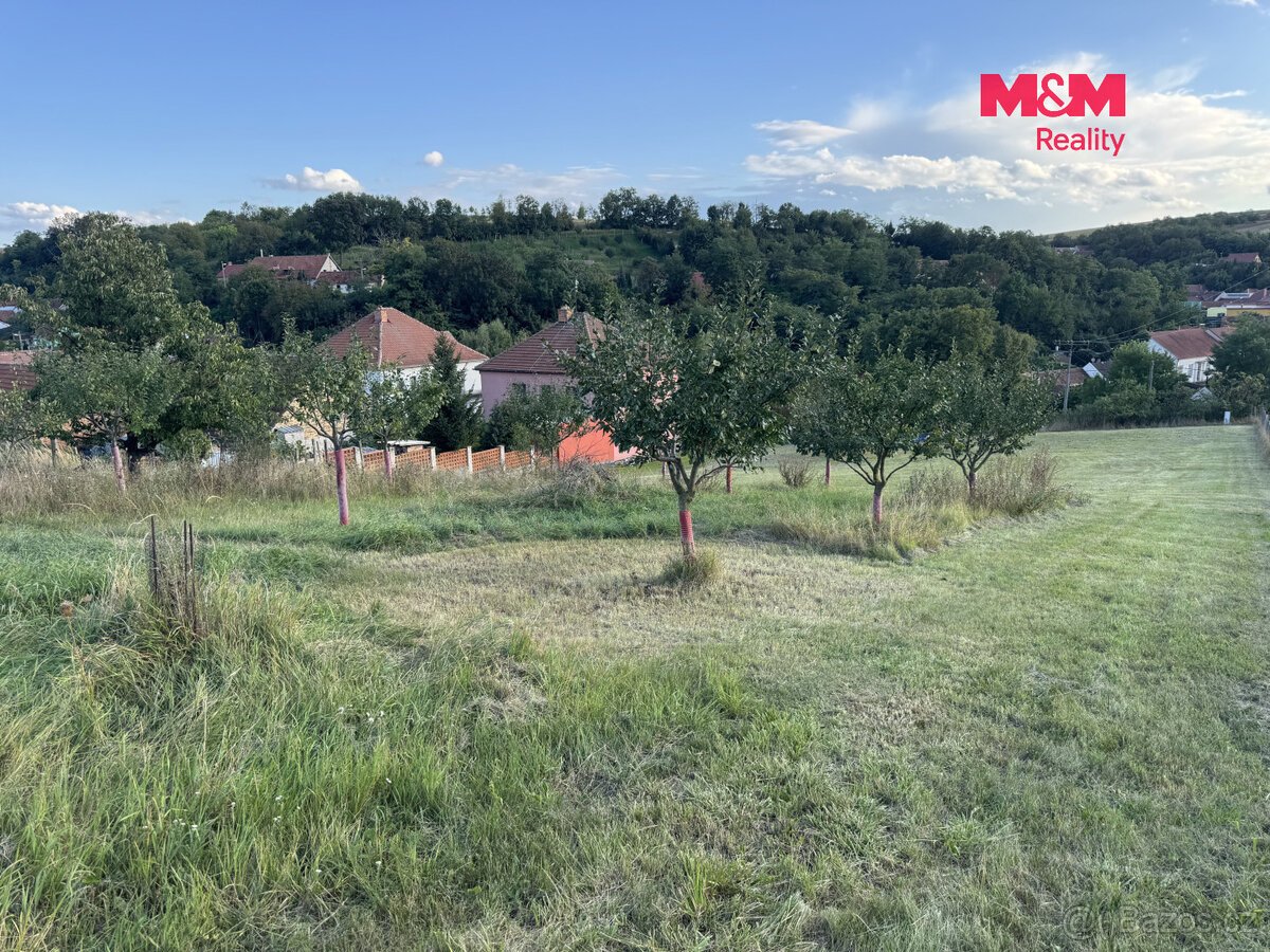 Prodej pozemku k bydlení, 7835 m², Borkovany