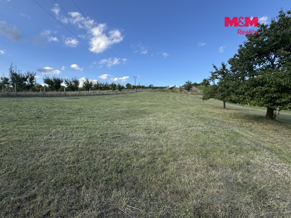Prodej pozemku k bydlení, 7835 m², Borkovany