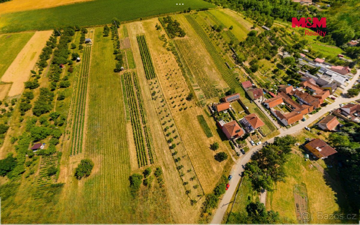 Prodej pozemku k bydlení, 7835 m², Borkovany