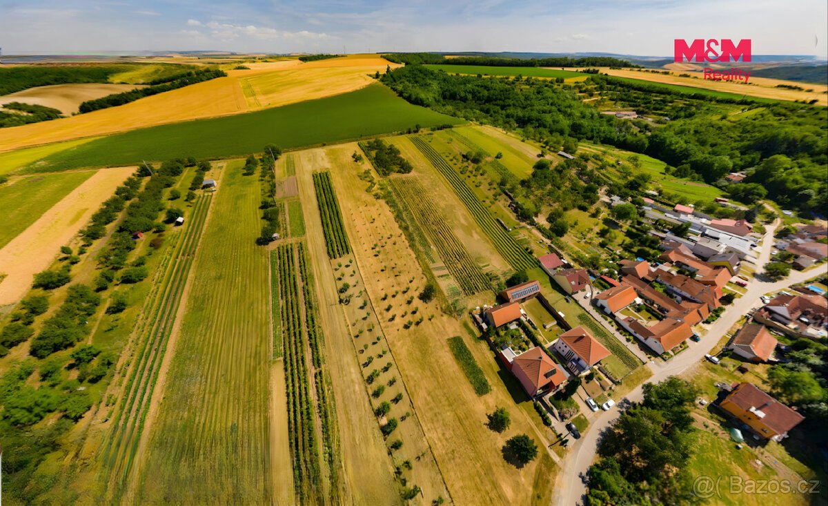 Prodej pozemku k bydlení, 7835 m², Borkovany