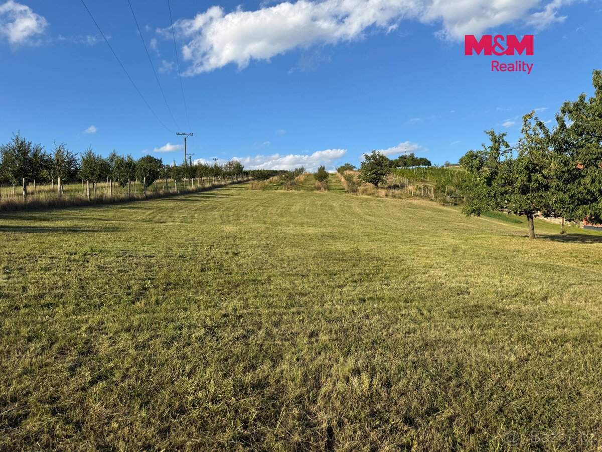 Prodej pozemku k bydlení, 7835 m², Borkovany