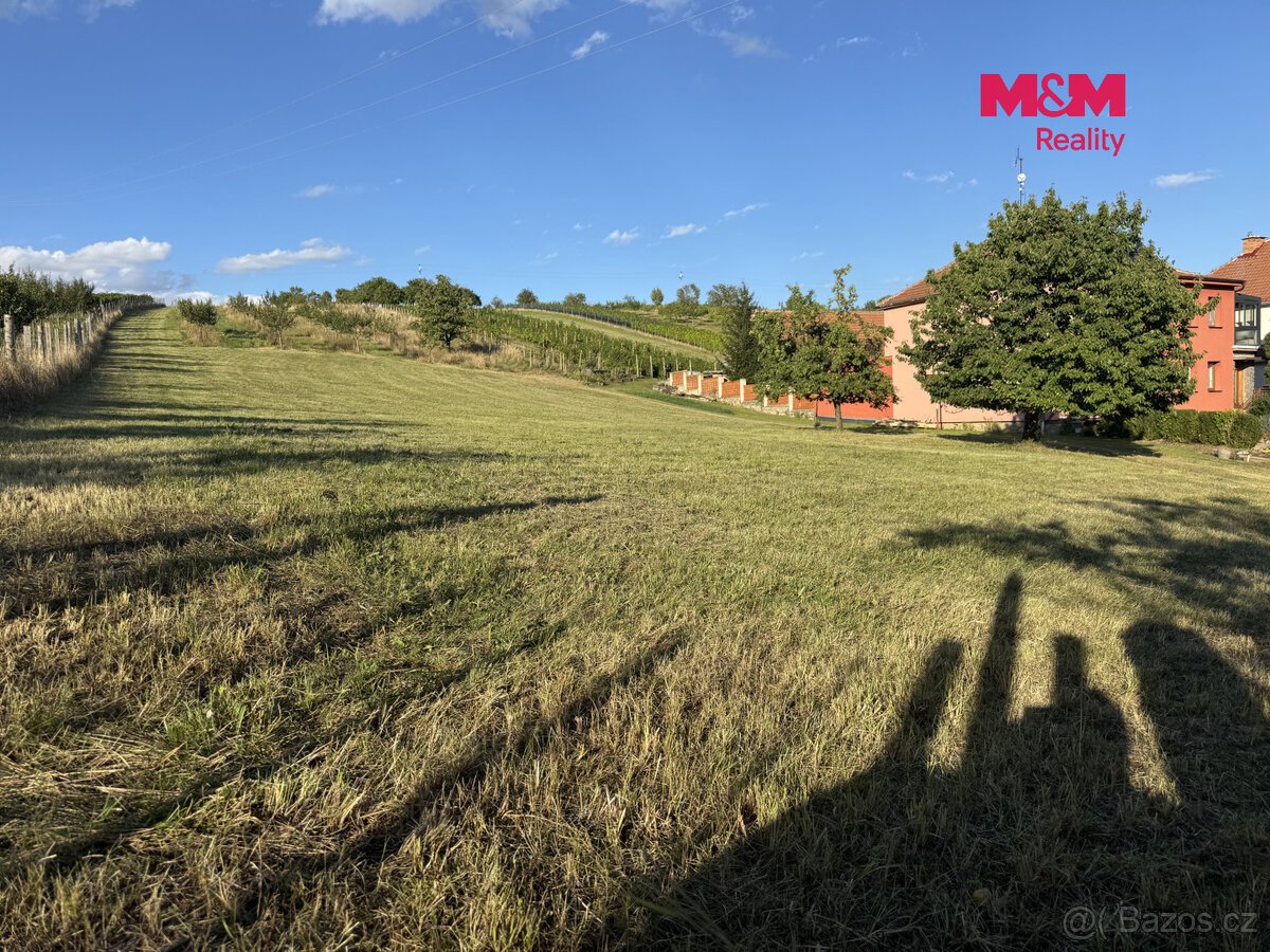 Prodej pozemku k bydlení, 7835 m², Borkovany