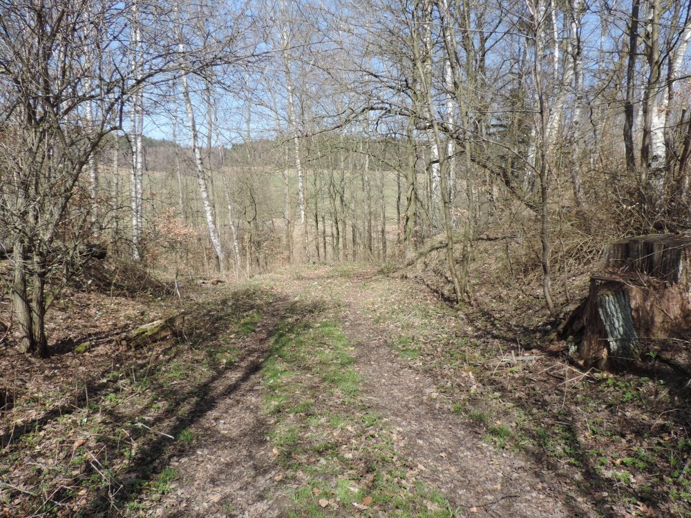 Břevniště pod Ralskem