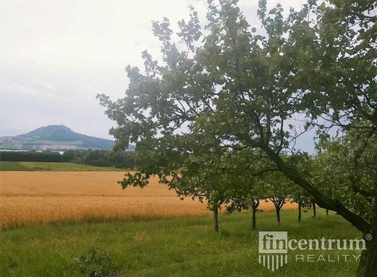 Prodej sadu, vinice 1383 m2, Strachotín