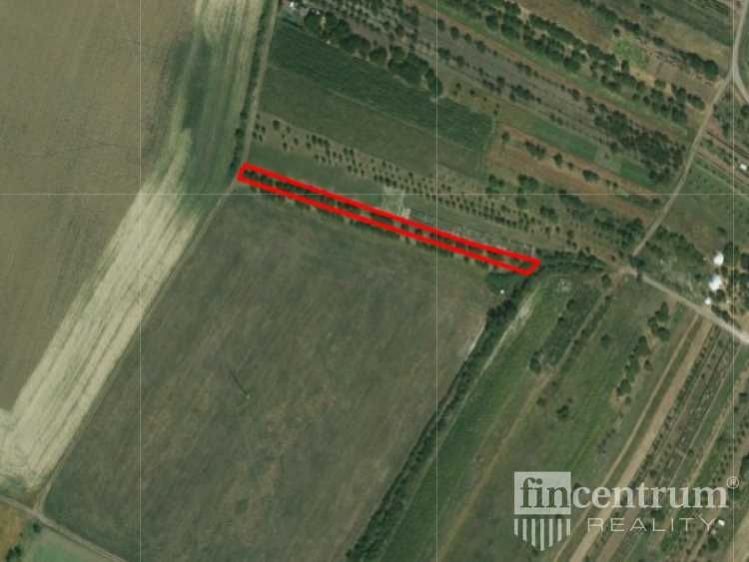 Prodej sadu, vinice 1383 m2, Strachotín