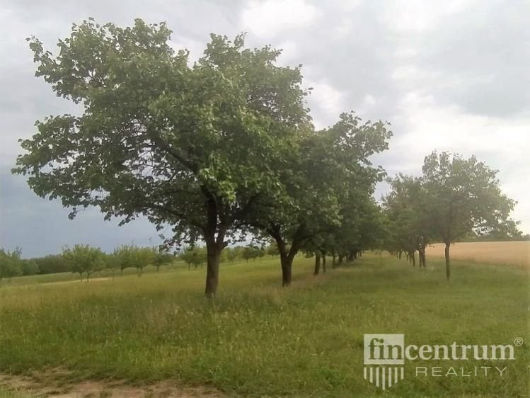 Prodej sadu, vinice 1383 m2, Strachotín