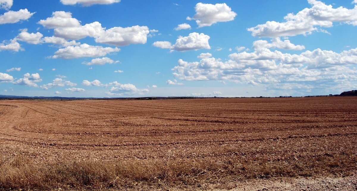 Prodej stavebního pozemku 800m2 Opava Podvihov